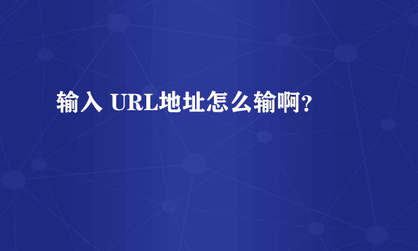 输入 URL地址怎么输啊？