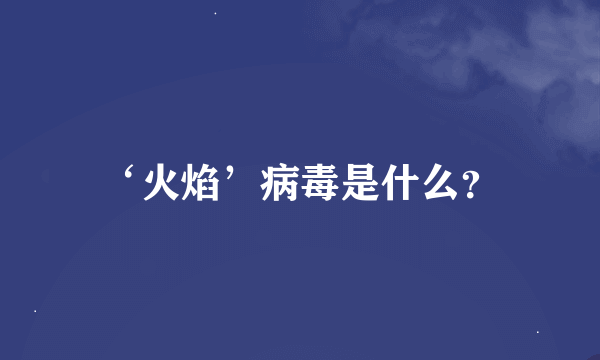 ‘火焰’病毒是什么？