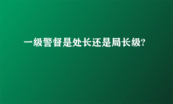 一级警督是处长还是局长级?