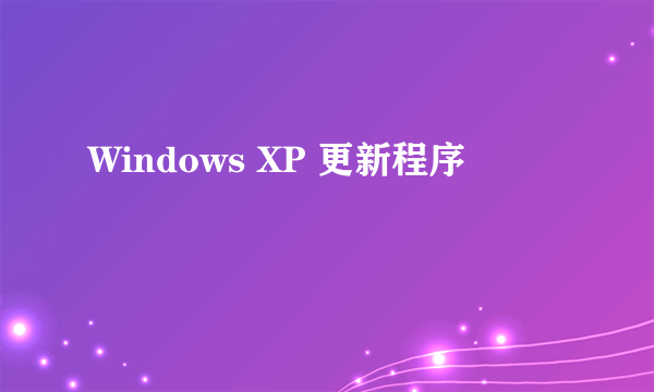 Windows XP 更新程序