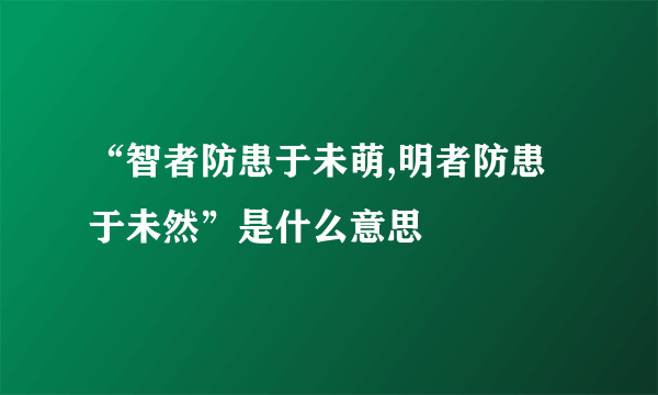 “智者防患于未萌,明者防患于未然”是什么意思