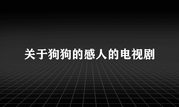 关于狗狗的感人的电视剧