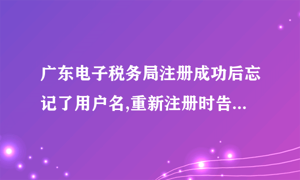 广东电子税务局注册成功后忘记了用户名,重新注册时告知手机号码已注册不能重复使用,怎样找回用户名？