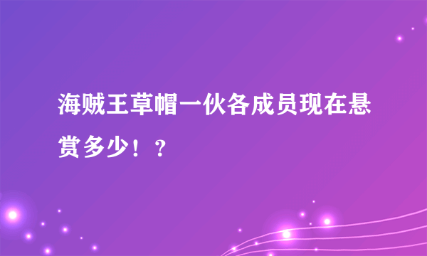 海贼王草帽一伙各成员现在悬赏多少！？