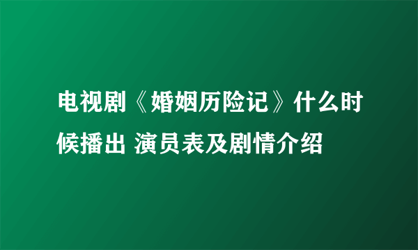 电视剧《婚姻历险记》什么时候播出 演员表及剧情介绍