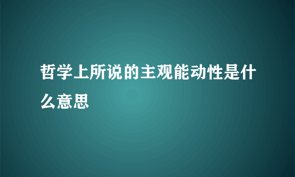 哲学上所说的主观能动性是什么意思