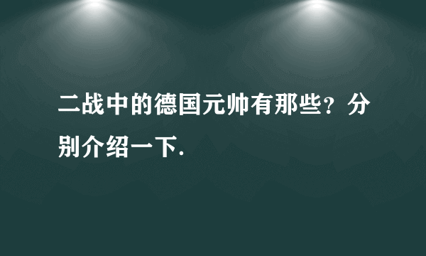 二战中的德国元帅有那些？分别介绍一下．