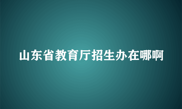 山东省教育厅招生办在哪啊