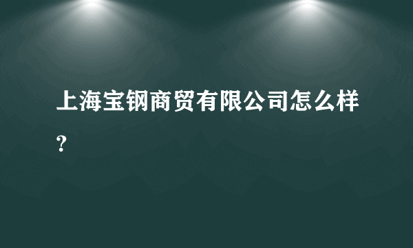 上海宝钢商贸有限公司怎么样？