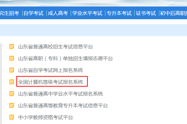 山东省教育招生考试院缴费怎么交