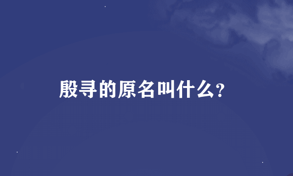 殷寻的原名叫什么？