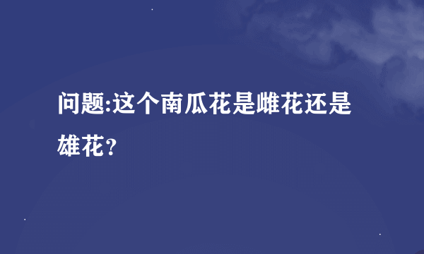 问题:这个南瓜花是雌花还是雄花？