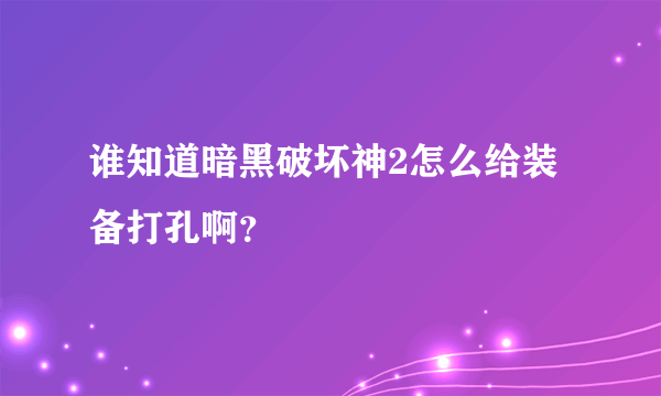 谁知道暗黑破坏神2怎么给装备打孔啊？