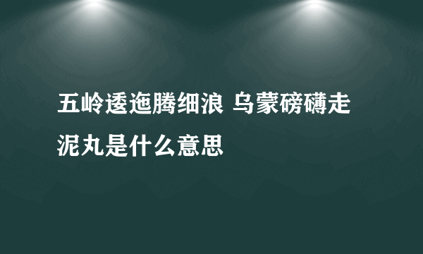 五岭逶迤腾细浪 乌蒙磅礴走泥丸是什么意思