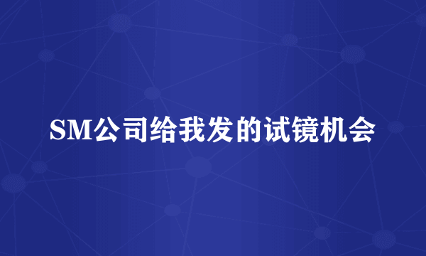 SM公司给我发的试镜机会