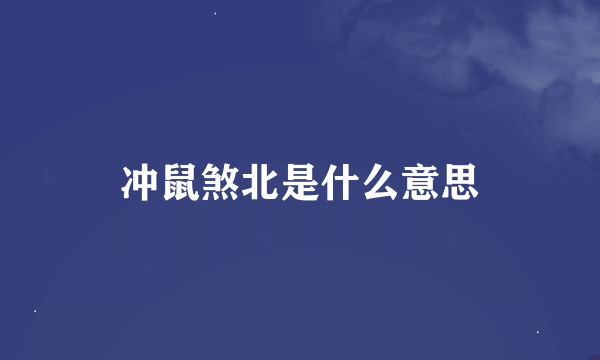 冲鼠煞北是什么意思