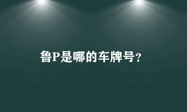 鲁P是哪的车牌号？