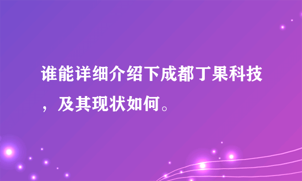 谁能详细介绍下成都丁果科技，及其现状如何。