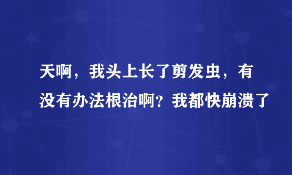 天啊，我头上长了剪发虫，有没有办法根治啊？我都快崩溃了