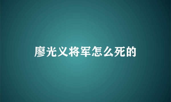 廖光义将军怎么死的