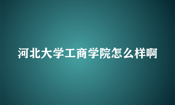 河北大学工商学院怎么样啊