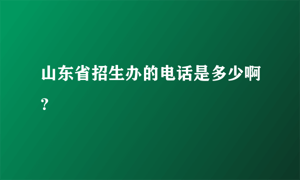 山东省招生办的电话是多少啊？