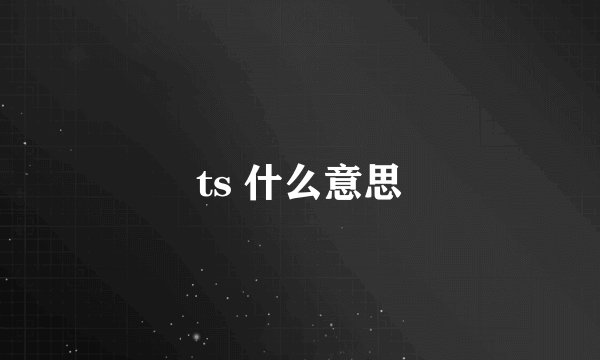 ts 什么意思