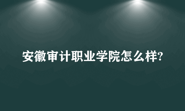 安徽审计职业学院怎么样?