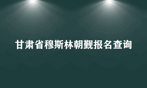 甘肃省穆斯林朝觐报名查询