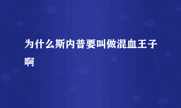 为什么斯内普要叫做混血王子啊