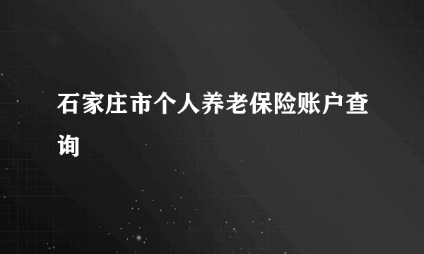 石家庄市个人养老保险账户查询