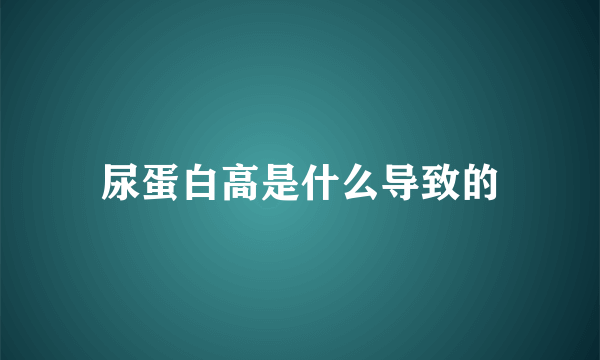 尿蛋白高是什么导致的