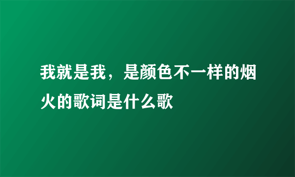 我就是我，是颜色不一样的烟火的歌词是什么歌