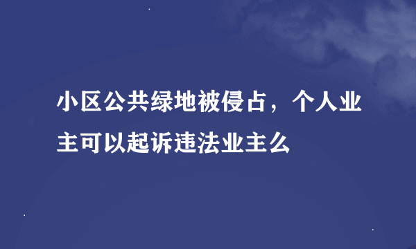 小区公共绿地被侵占，个人业主可以起诉违法业主么