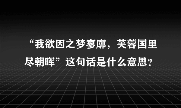 “我欲因之梦寥廓，芙蓉国里尽朝晖”这句话是什么意思？