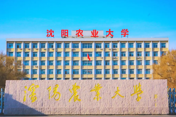 沈阳农业大学排名