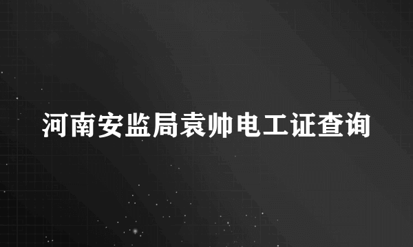 河南安监局袁帅电工证查询