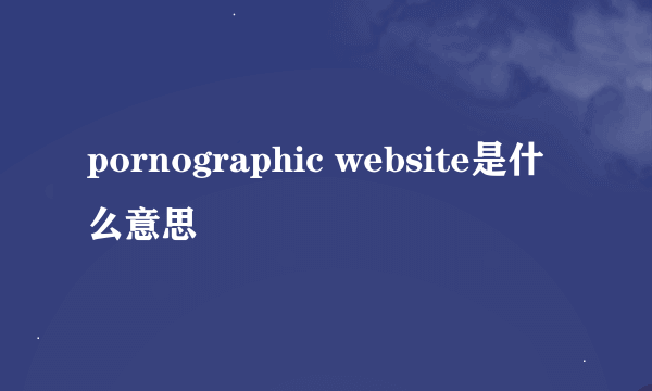 pornographic website是什么意思