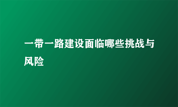 一带一路建设面临哪些挑战与风险