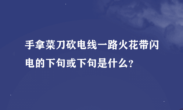 手拿菜刀砍电线一路火花带闪电的下句或下句是什么？