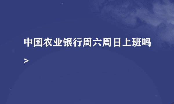 中国农业银行周六周日上班吗>