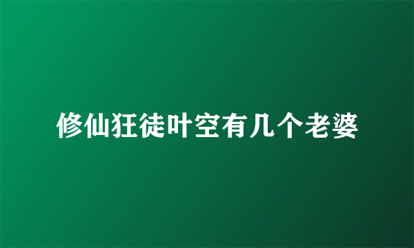 修仙狂徒叶空有几个老婆