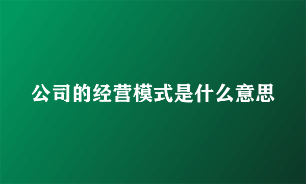 公司的经营模式是什么意思