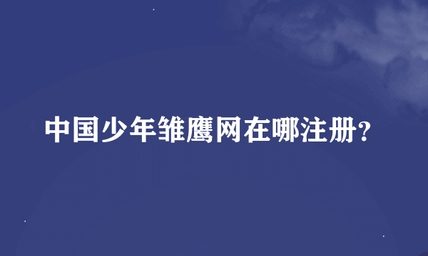 中国少年雏鹰网在哪注册？