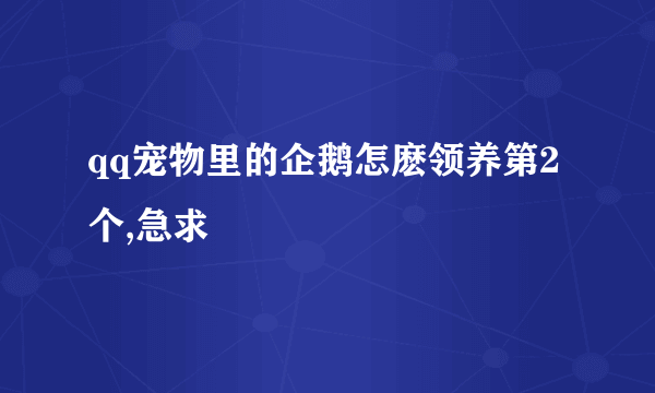 qq宠物里的企鹅怎麽领养第2个,急求