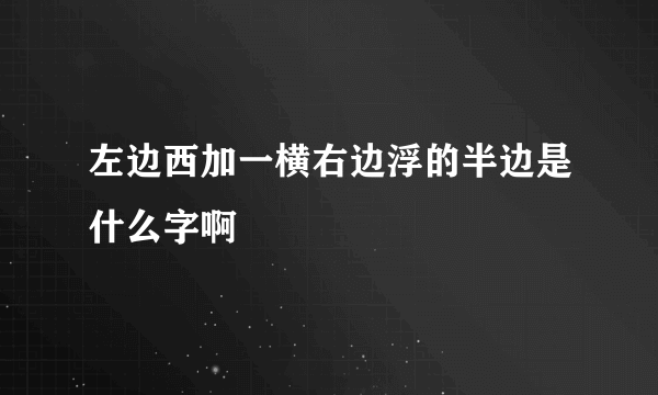 左边西加一横右边浮的半边是什么字啊