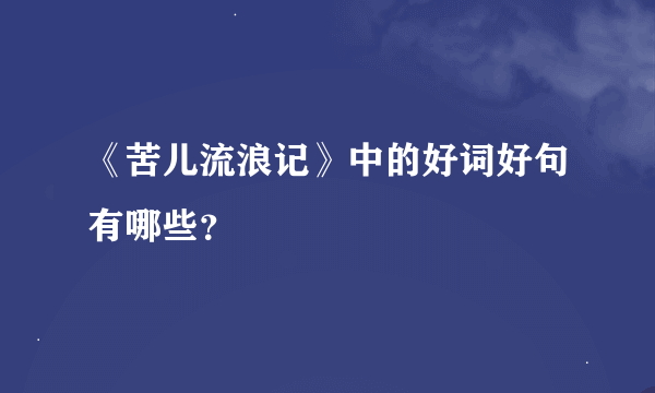 《苦儿流浪记》中的好词好句有哪些？