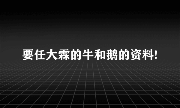 要任大霖的牛和鹅的资料!