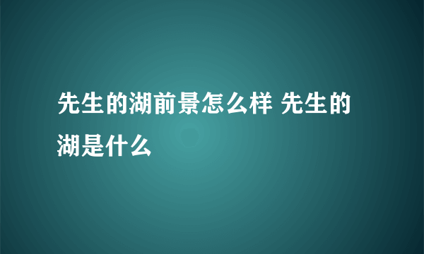 先生的湖前景怎么样 先生的湖是什么