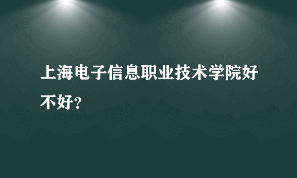 上海电子信息职业技术学院好不好？